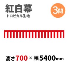 画像1: トロピカル紅白幕 H700ｍｍｘW3間 (1)