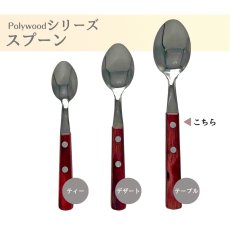 画像3: テーブルスプーン 19cm (食洗機対応)ステンレス ポリウッド Polywood  21103/470 21103/490【直送商品】 (3)