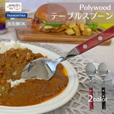 画像1: テーブルスプーン 19cm (食洗機対応)ステンレス ポリウッド Polywood  21103/470 21103/490【直送商品】 (1)