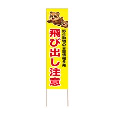 画像1: 立て看板 飛び出し注意 狸(選べる木枠サイズ)【直送商品】 (1)