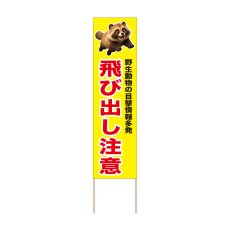 画像1: 立て看板 飛び出し注意 タヌキ(選べる木枠サイズ)【直送商品】 (1)