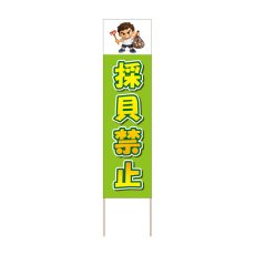 画像1: 立て看板 採貝禁止(選べる木枠サイズ)【直送商品】 (1)