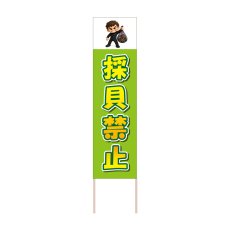 画像1: 立て看板 採貝禁止(選べる木枠サイズ)【直送商品】 (1)